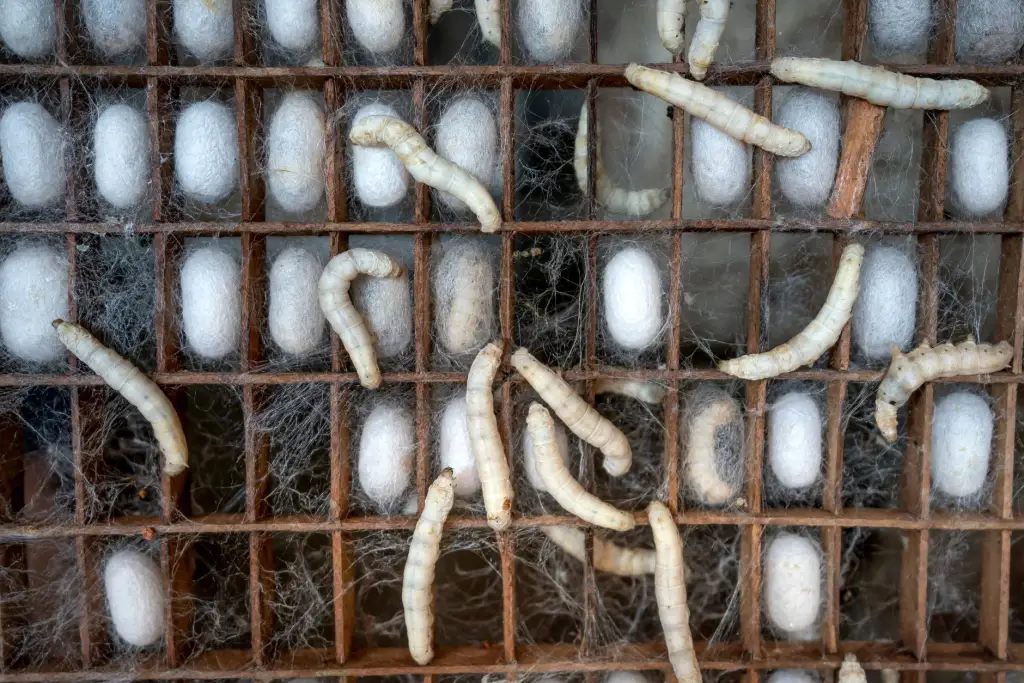 重庆茂淼广告设计：宣传单设计核心要素与视觉优化技巧解析