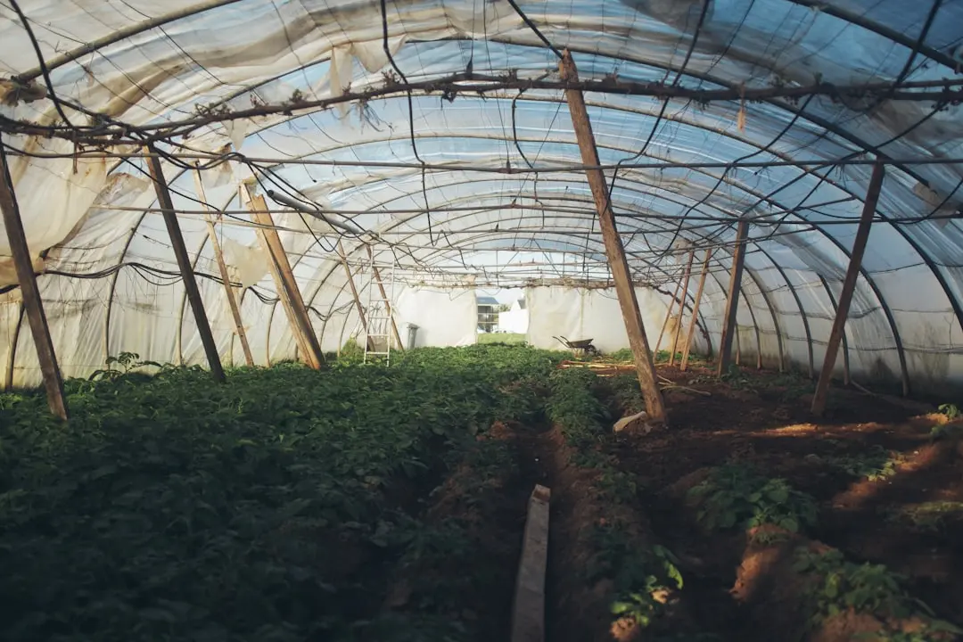 重庆茂淼广告设计：企业宣传单与折页设计的差异化选型指南