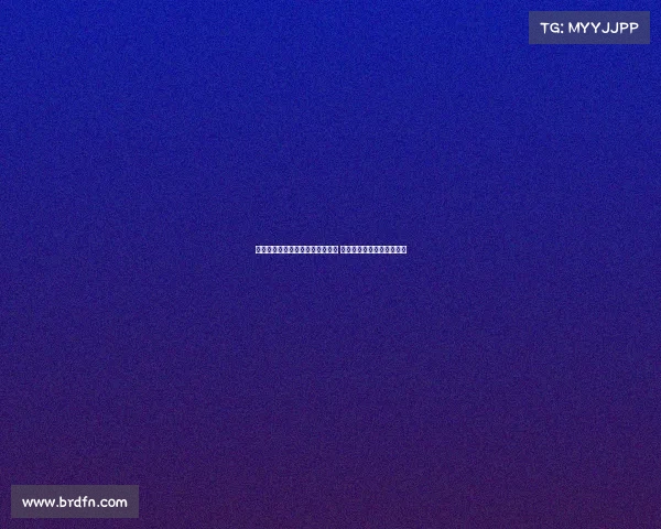 乌迪内斯与维特塞尔展开深度谈判 持续接触或迎来新转会动态