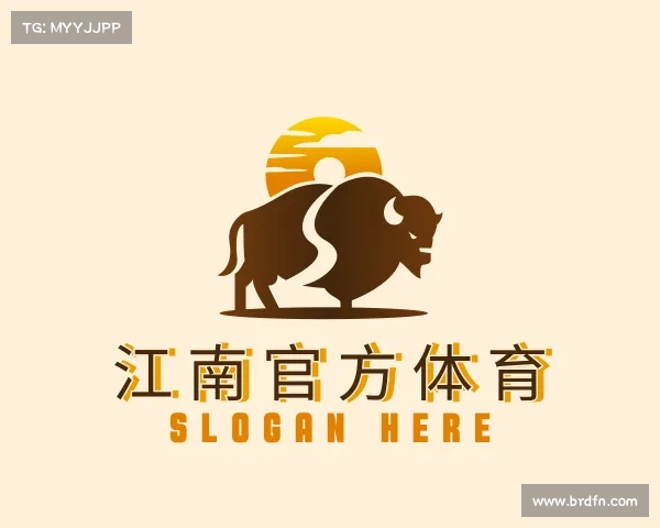 认识江南官方体育